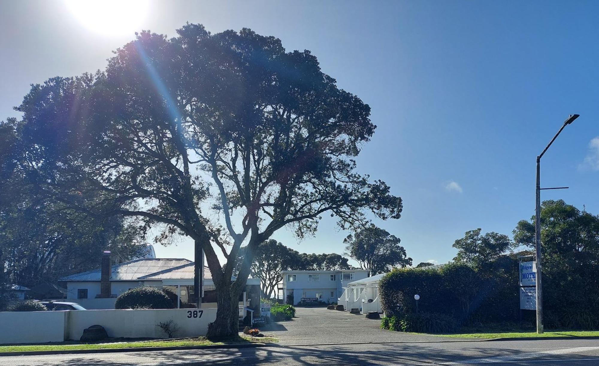 Edgewater Motel Orewa Kültér fotó